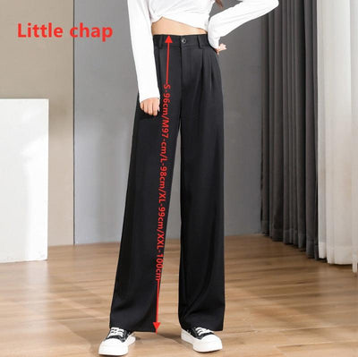 Women Chic Office Wear Straight Pants - MODE BY OH